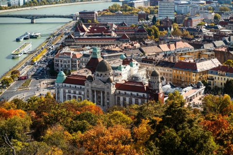 Parasonic115 - mjvaluemart