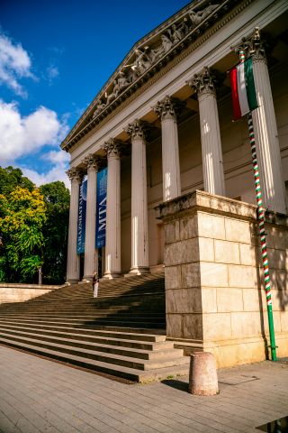 Parasonic233 - mjvaluemart