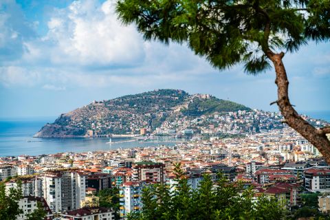 Parasonic75 - mjvaluemart