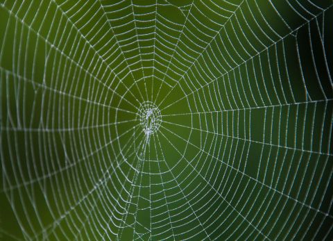 Stranger101 - mjvaluemart