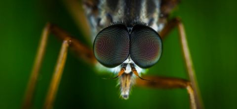 Stranger177 - mjvaluemart